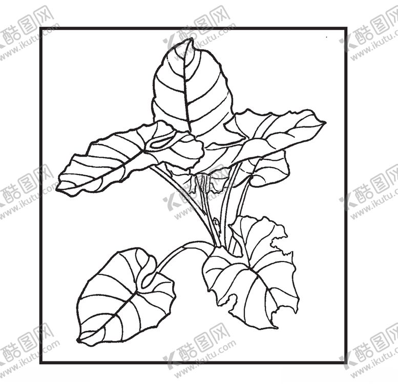 编号：93751210140001548758【酷图网】源文件下载-滴水观音