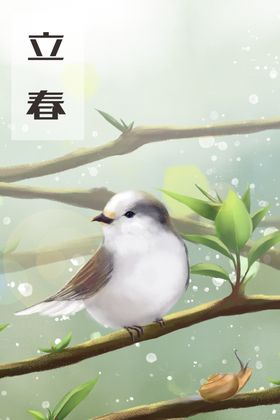 立春插画图片