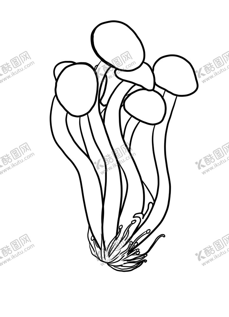 编号：44618205081542202892【酷图网】源文件下载-茶树菇