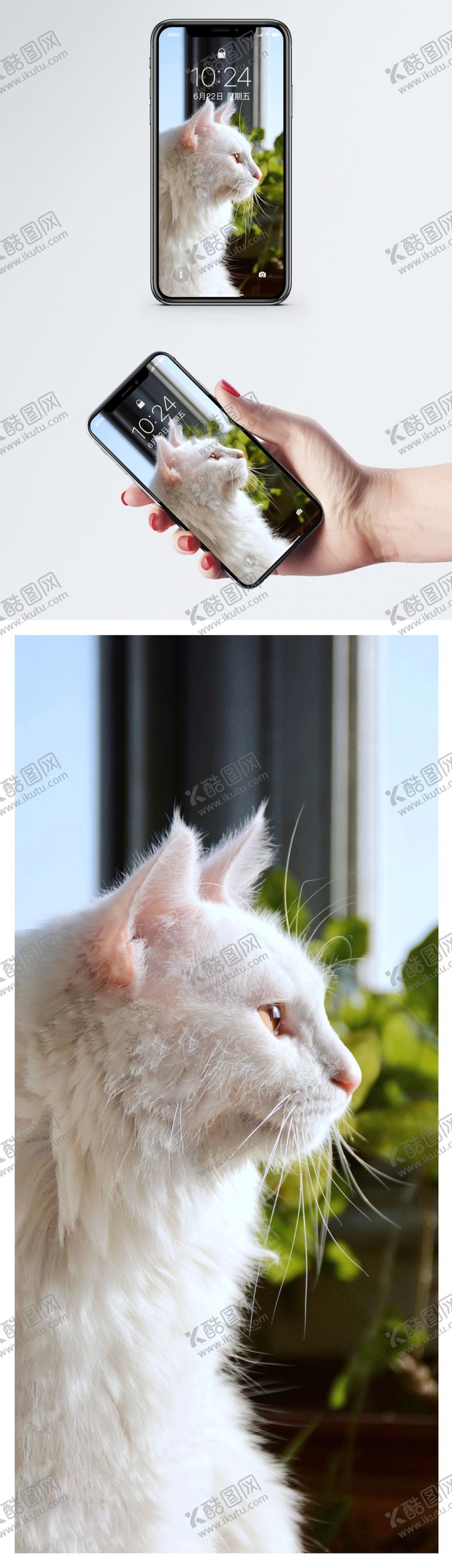 编号：15800310120900437461【酷图网】源文件下载-手机壁纸