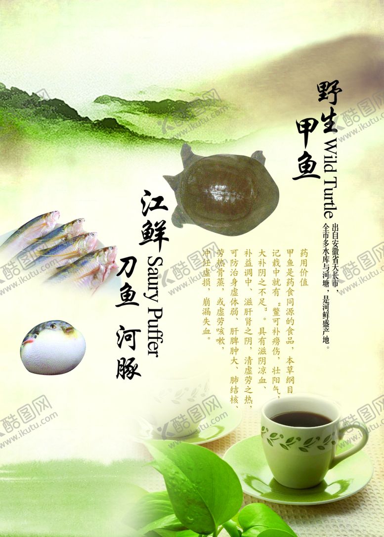 编号：74455710080740485560【酷图网】源文件下载-江鲜刀鱼河豚野生甲鱼