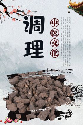 传播中医文化专业调理海报设计