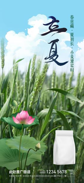 立夏设计海报高端