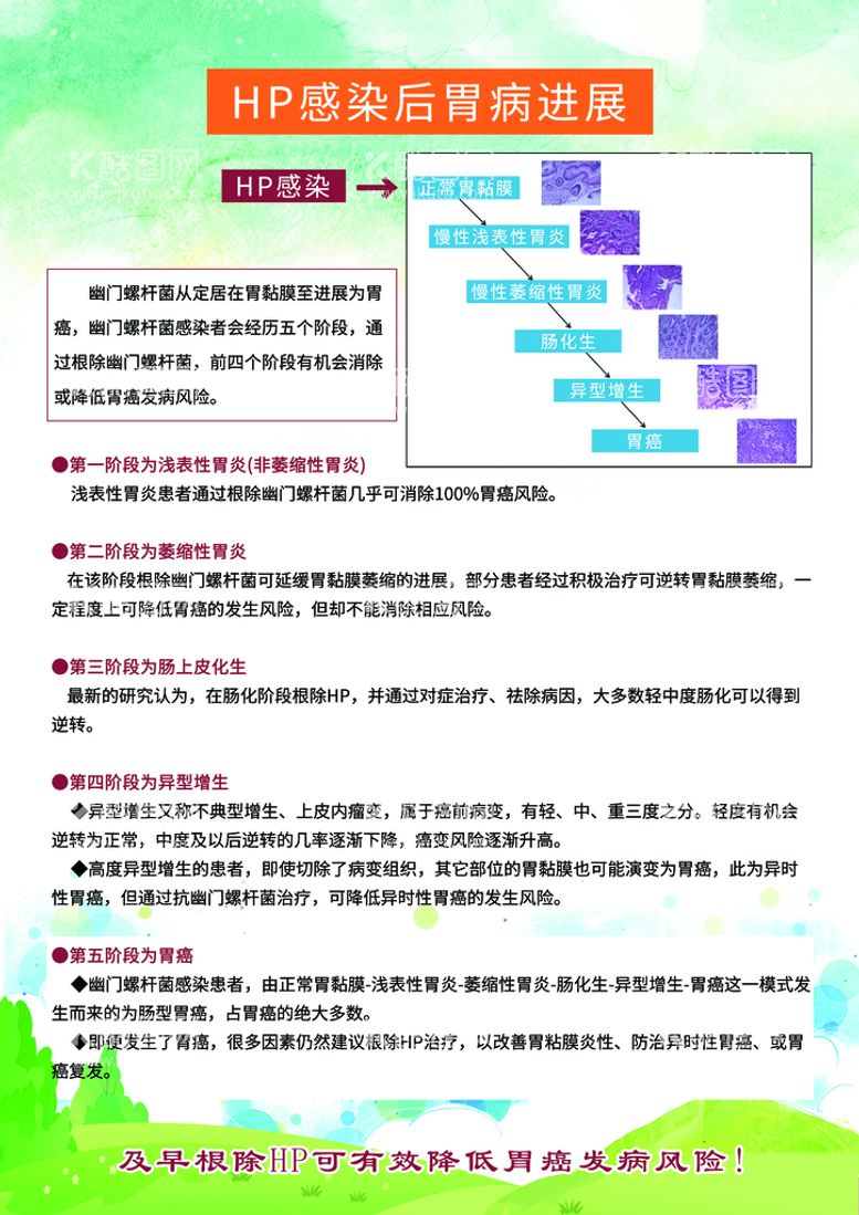 编号：55467411161930194129【酷图网】源文件下载-幽门螺旋杆菌