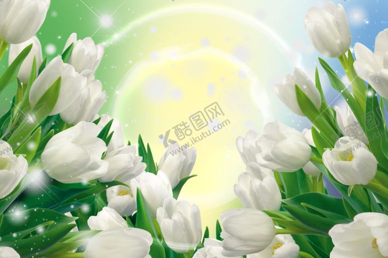 编号：23559909110426306331【酷图网】源文件下载-白百合郁金香壁画壁纸背景墙