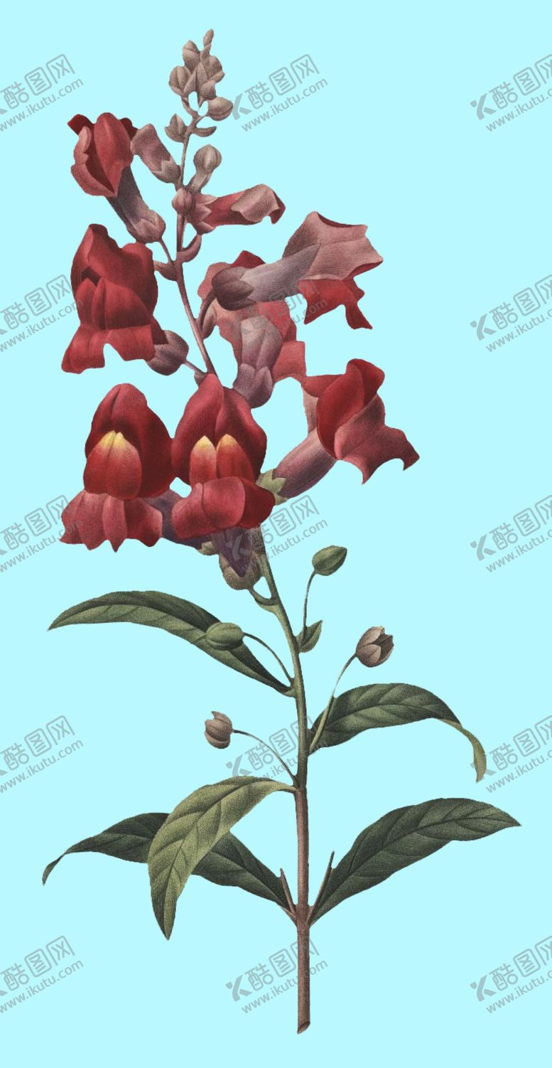 编号：94170806250751037601【酷图网】源文件下载-手绘花朵