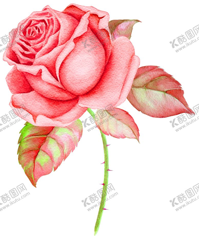 编号：53813505151008447746【酷图网】源文件下载-鲜花装饰