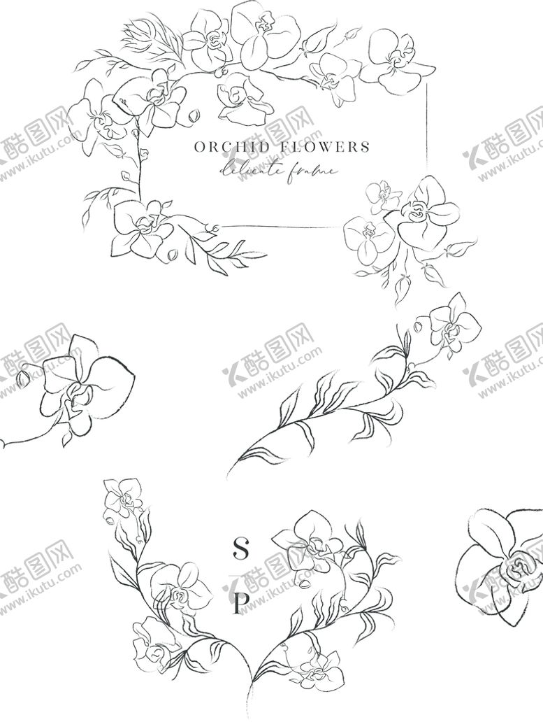 编号：43810609202352584861【酷图网】源文件下载-线描花