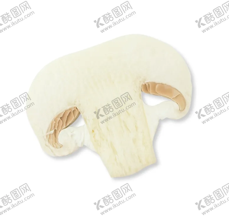 编号：32416803301709145764【酷图网】源文件下载-香菇