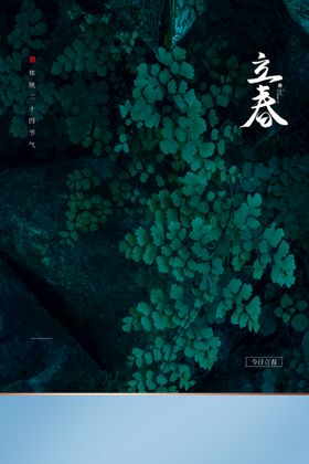 立春插画图片温暖天治愈系