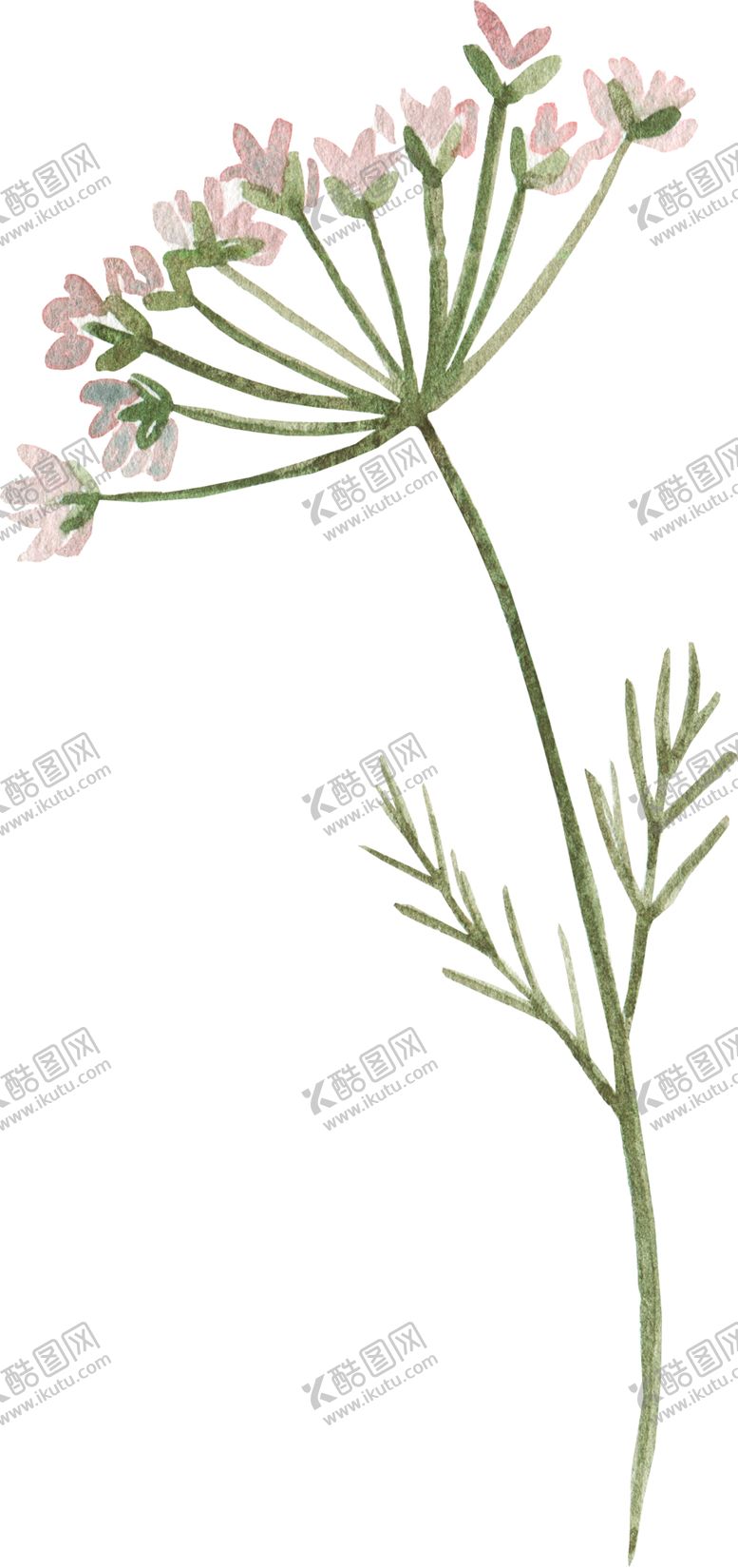 编号：51860209200927496493【酷图网】源文件下载-彩绘枝叶