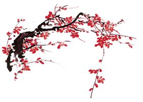 中国风水墨梅