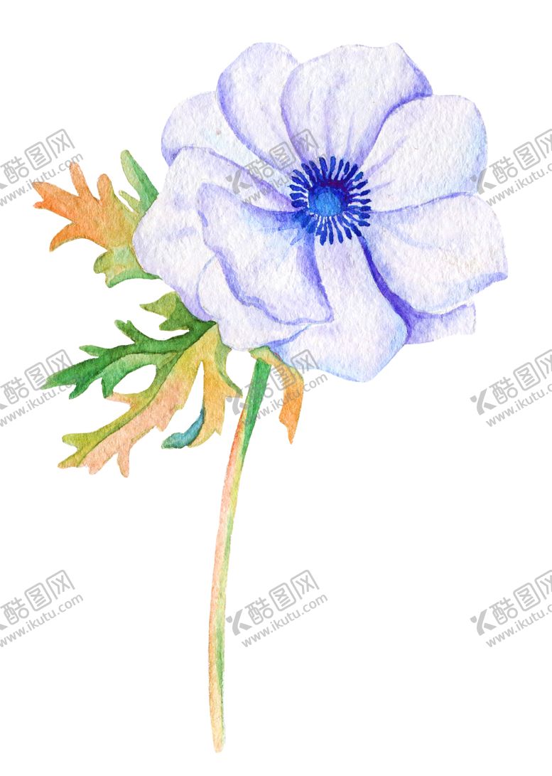 编号：79744905100856045216【酷图网】源文件下载-鲜花素材