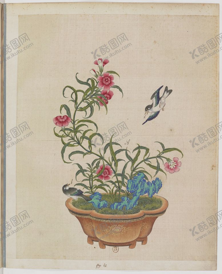 编号：78405704081944267150【酷图网】源文件下载-盆景花鸟