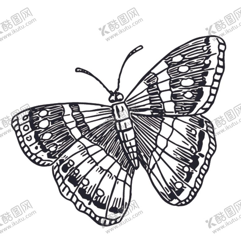 编号：82847810210233341607【酷图网】源文件下载-昆虫绘画图案