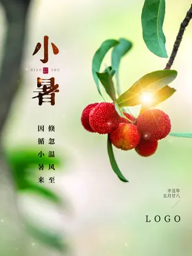 小暑微信海报大海报地产朋友圈
