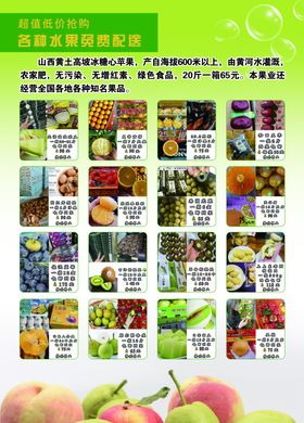 水果鱼宣传单