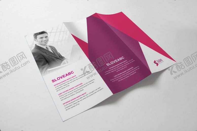 编号：71032110090645145207【酷图网】源文件下载-画册样机Ay