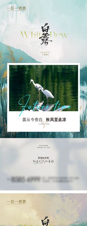 地产白露教师节银杏叶系列海报