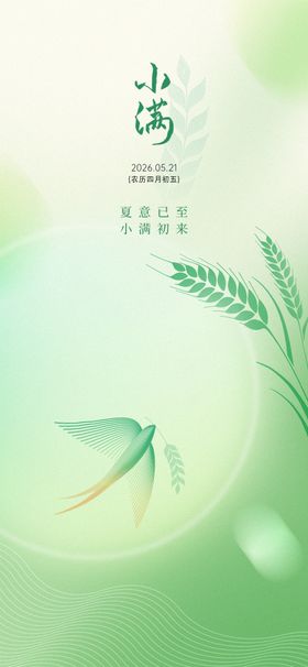 小满传统节气海报