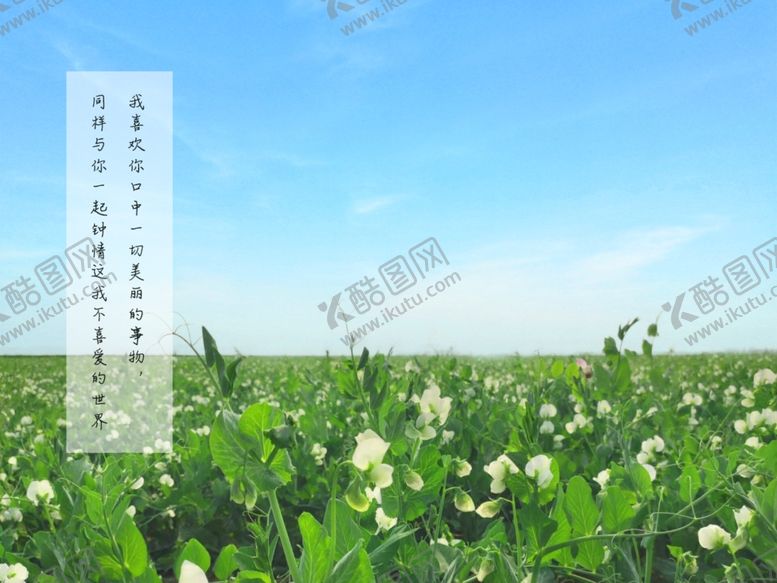 编号：25932609240451137509【酷图网】源文件下载-田野