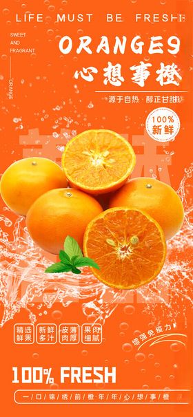 橙子宣传海报
