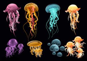 8组彩色透明水母设计