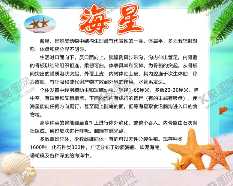编号：31841507061047438727【酷图网】源文件下载-海洋馆海星