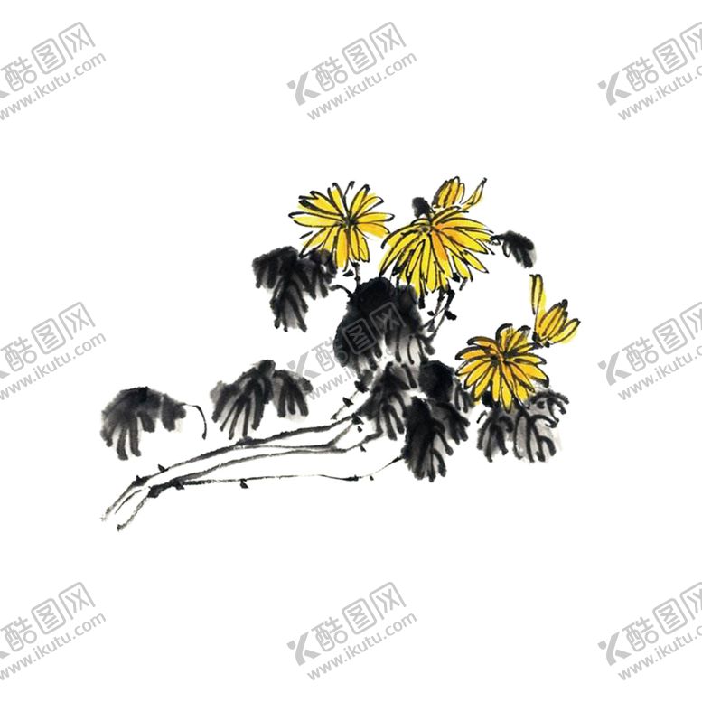 编号：39093606190657074236【酷图网】源文件下载-菊花素材