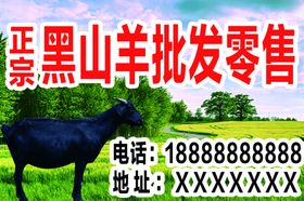 黑山羊展板
