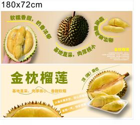 金枕榴莲展示果肉饱满诱人