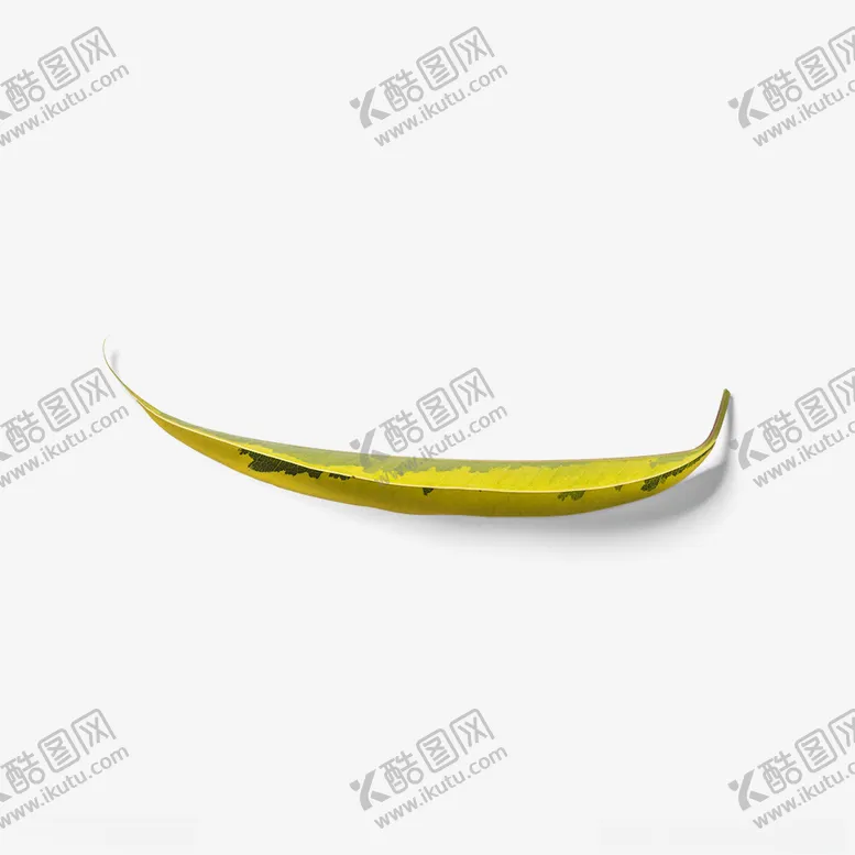 编号：77606202201500482424【酷图网】源文件下载-树叶