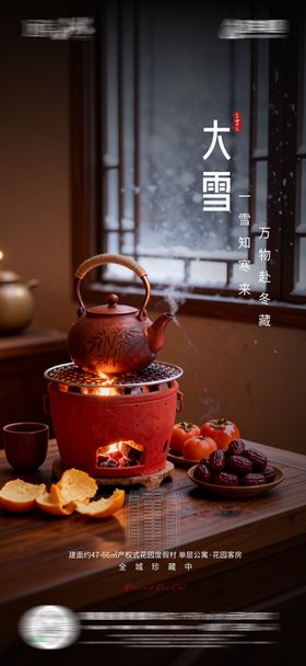 地产大雪节气海报