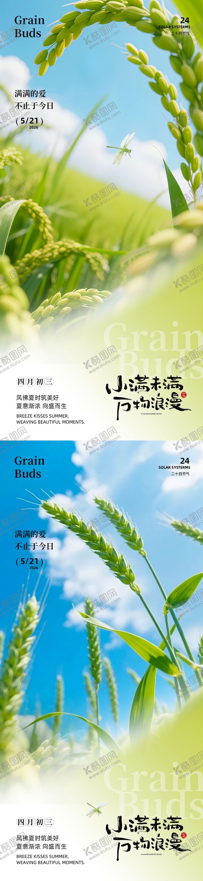 编号：38128105222321387421【酷图网】源文件下载-小满二十四节气海报设计