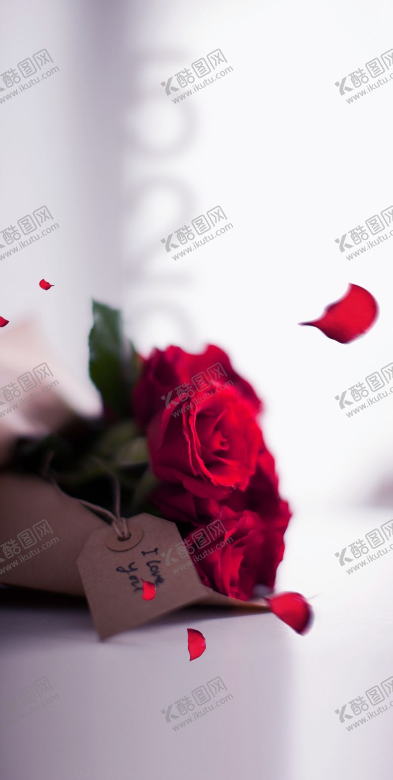 编号：58509609210525349215【酷图网】源文件下载-情人节