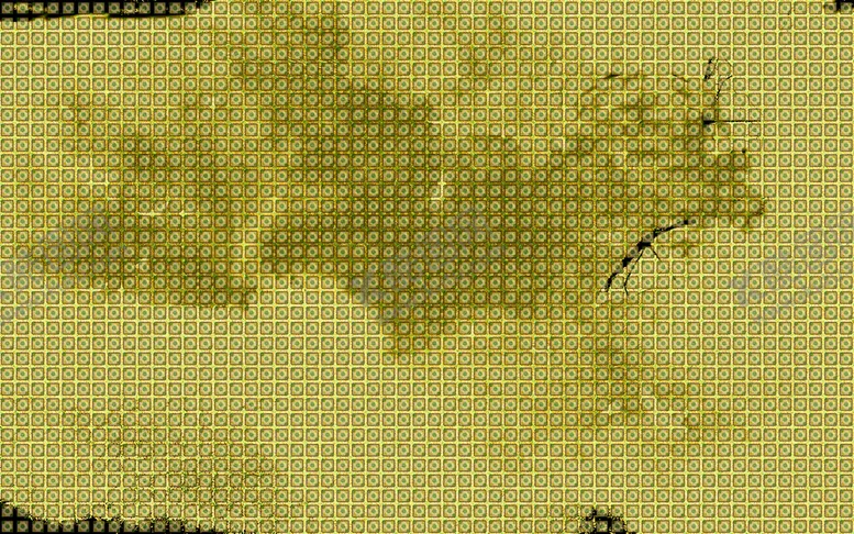 编号：66960411190753141905【酷图网】源文件下载-星球方格地纹图