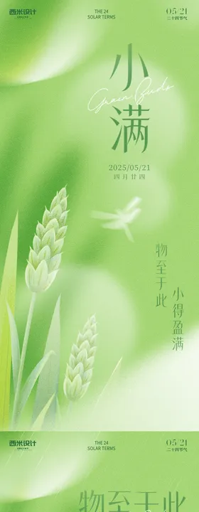 小满绿色海报