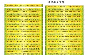 校园楼梯条