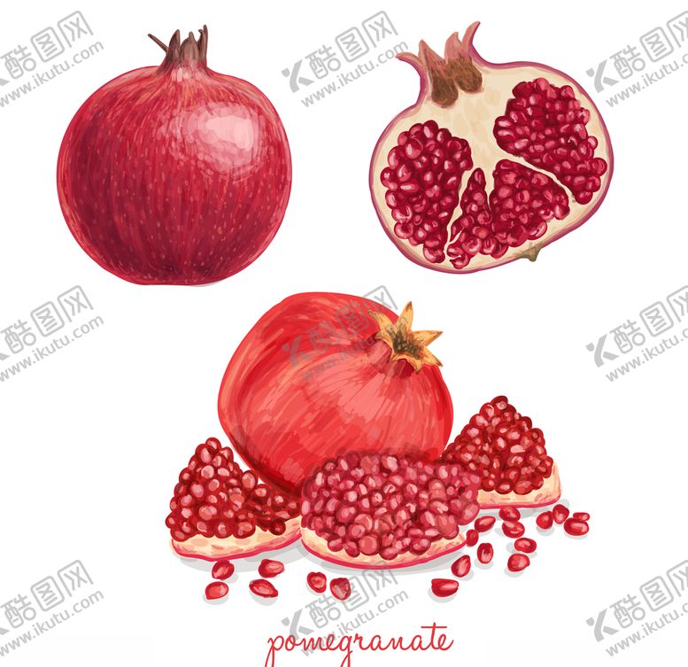 编号：18763110110502321507【酷图网】源文件下载-水果蔬菜