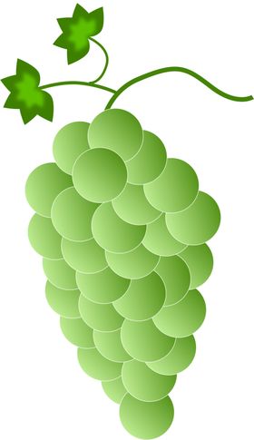 葡萄