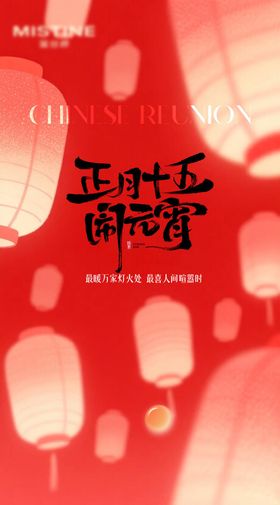 正月十五团圆元宵节海报