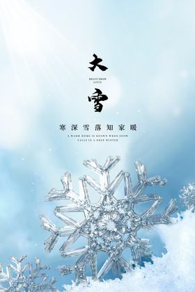 冬天插画 二十四节气大雪