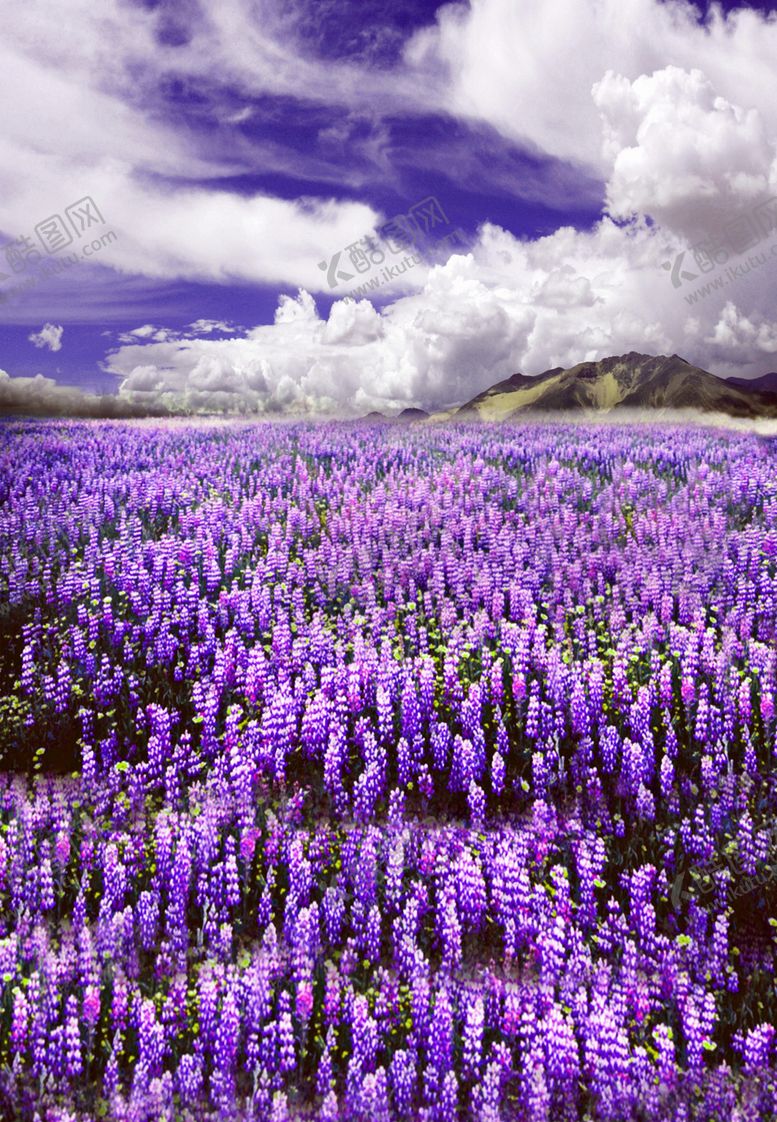 编号：33886509201426376601【酷图网】源文件下载-壁纸图片