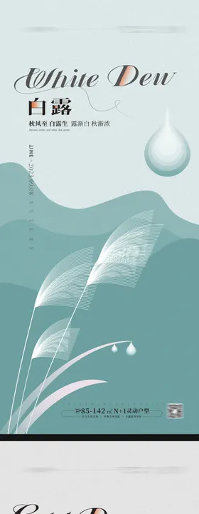 白露寒露海报