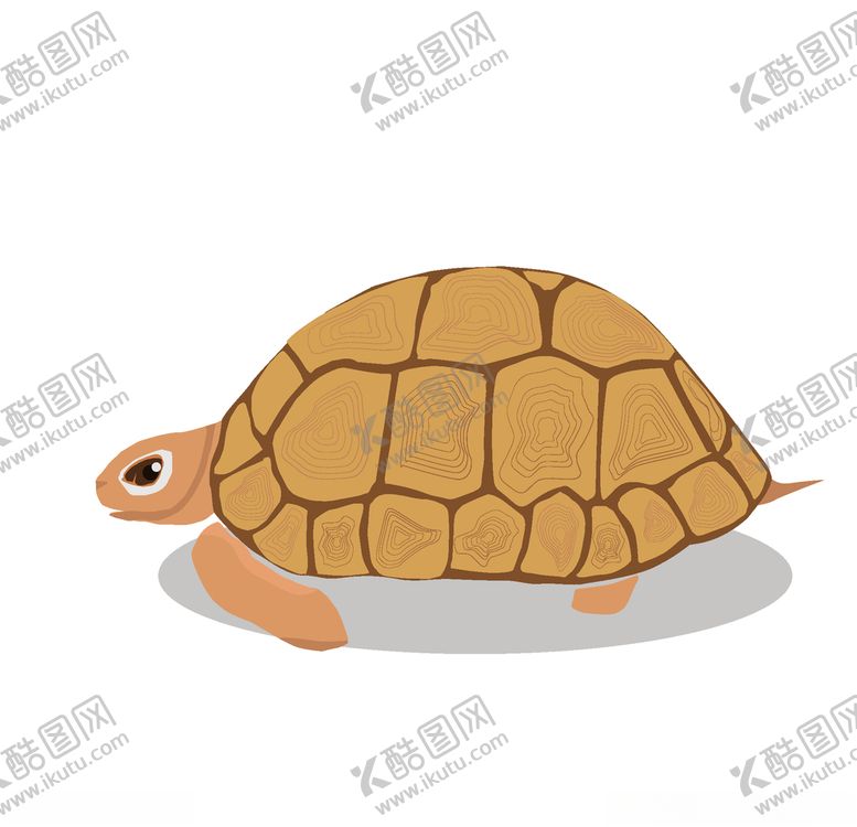 编号：89736809190705071676【酷图网】源文件下载-卡通乌龟