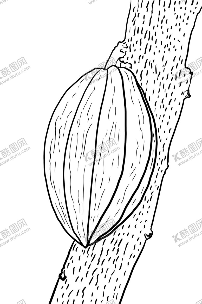 编号：63272909241334182361【酷图网】源文件下载-可可豆