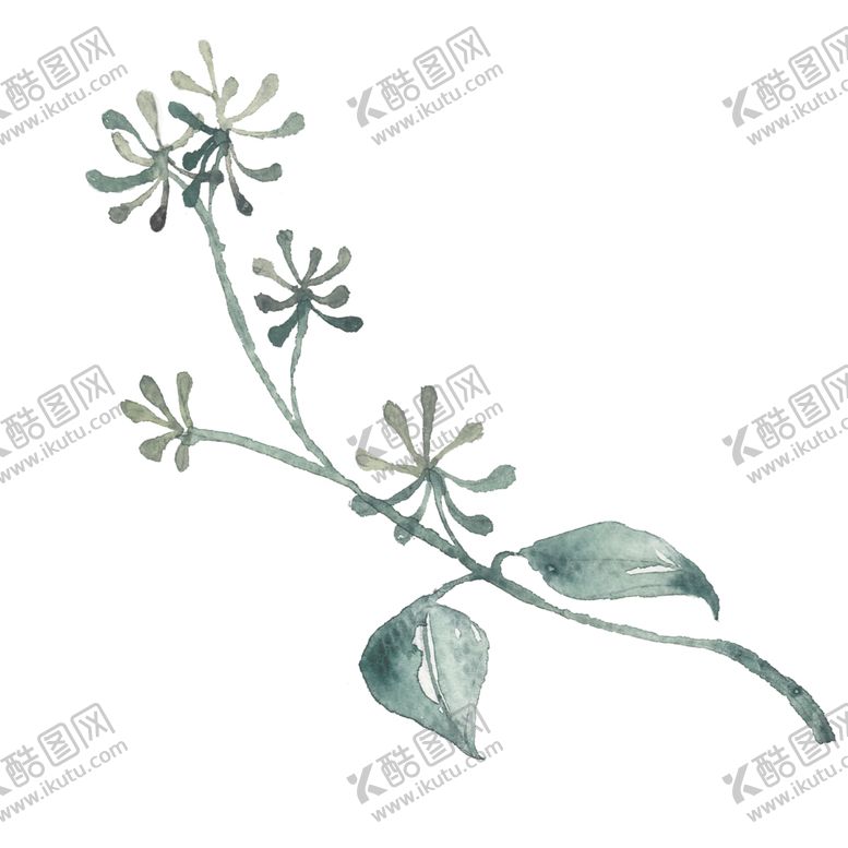 编号：38553609221641501189【酷图网】源文件下载-小清新水彩植物树枝
