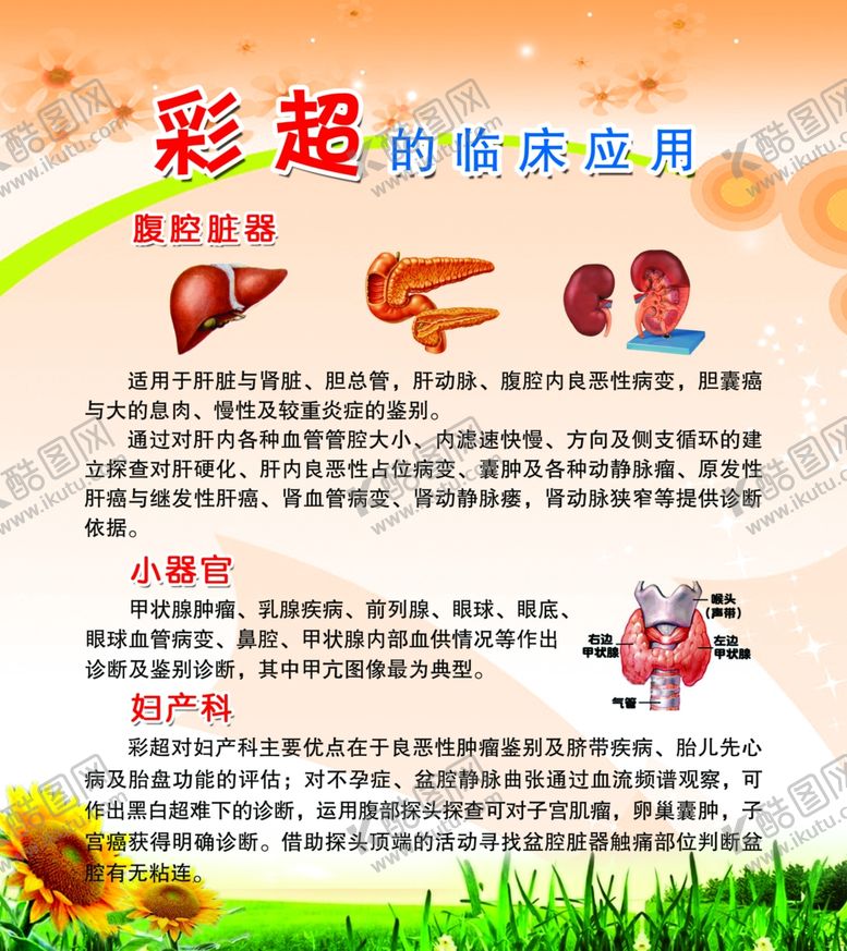 编号：68317410182248071630【酷图网】源文件下载-彩超的临床应用