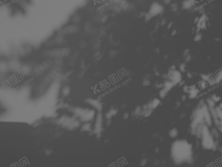 编号：15162407081426248331【酷图网】源文件下载-自然植物光影