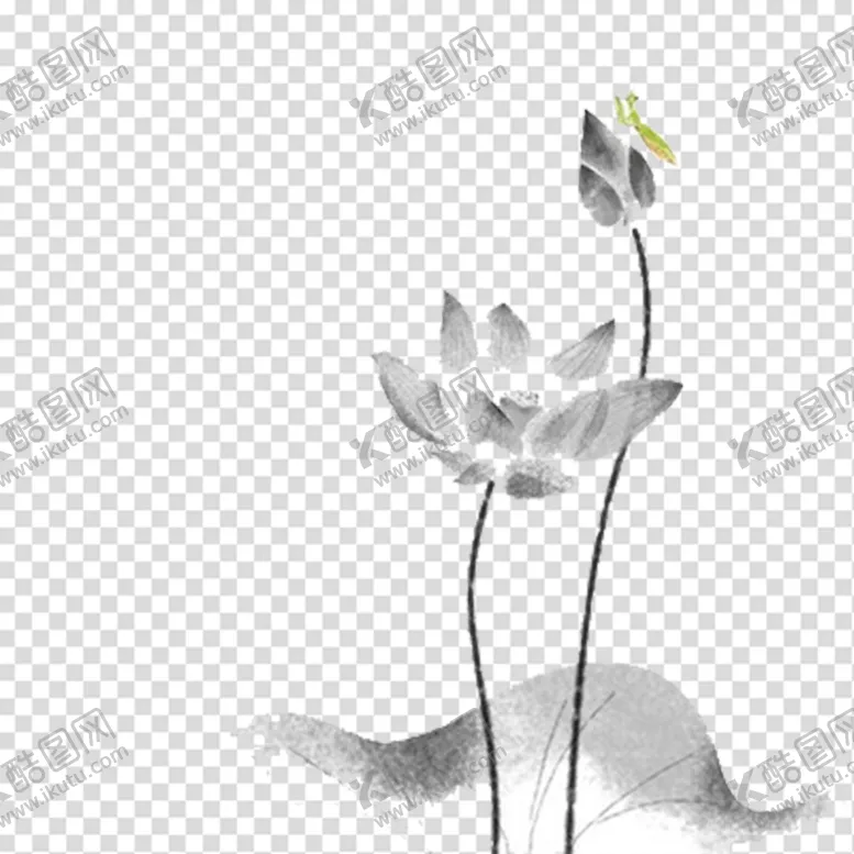 编号：14839509221147178546【酷图网】源文件下载-荷花 莲花 